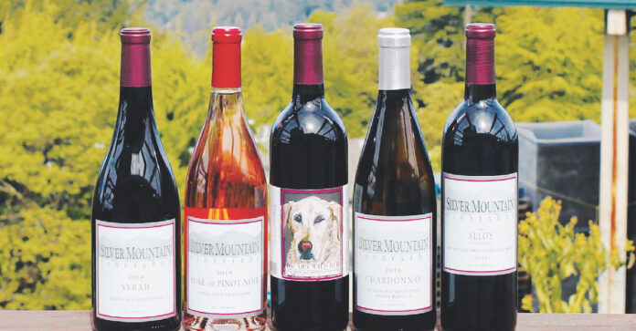 Silver Mountain Vineyards Wins Big at Chronicle Wine Competition
