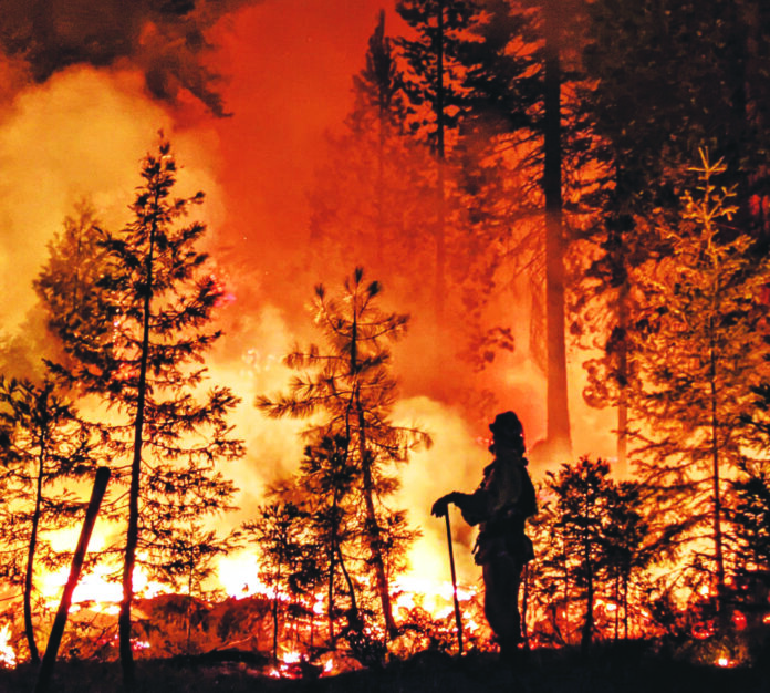 As the Frequency of Natural Disasters Rise, Cities Like Santa Cruz Are Left Behind