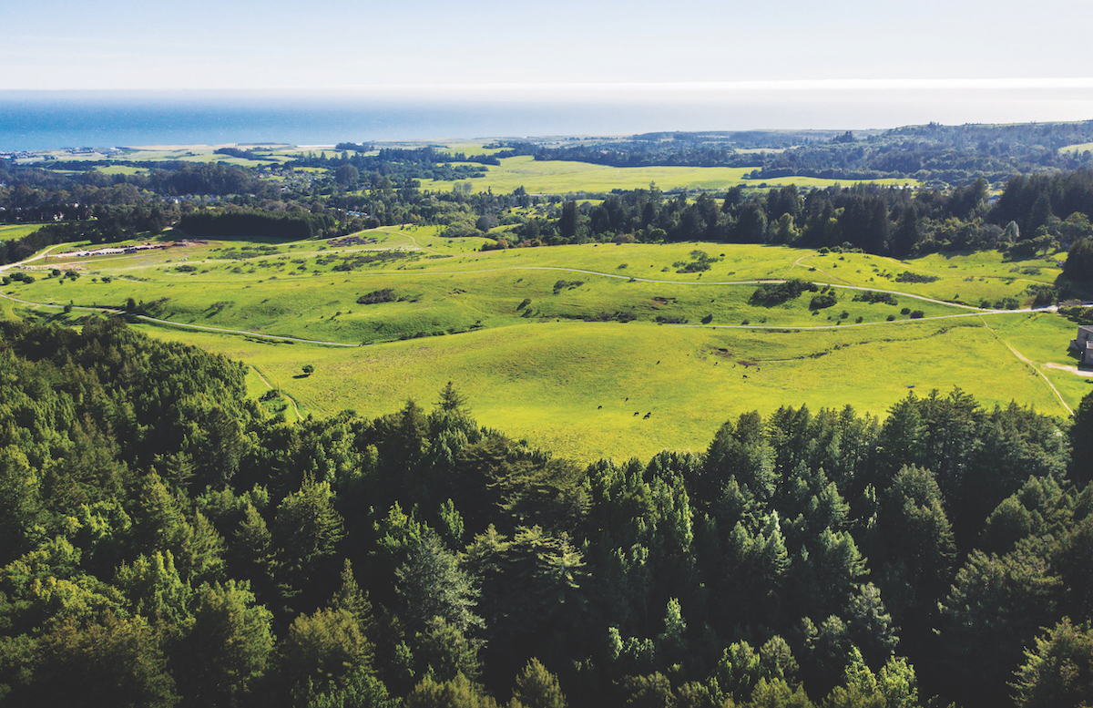 ucsc-again-locks-legal-horns-with-city-and-county-over-campus-growth