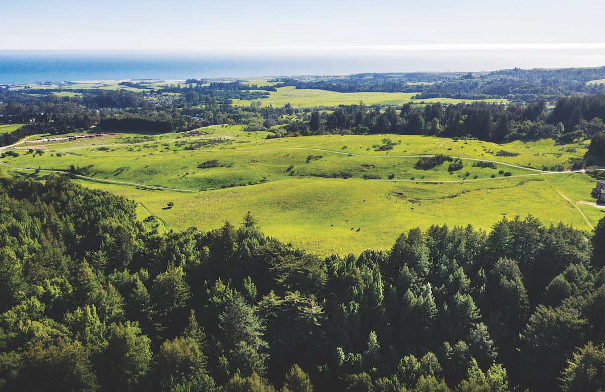 ucsc housing tours