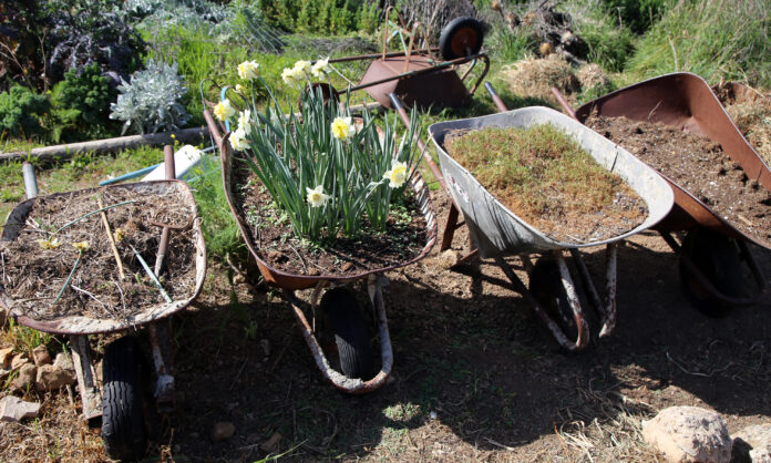 Letter to the Editor: Santa Cruz County, Limited