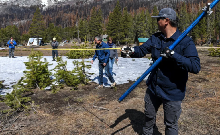Sierra Snowpack Falls to Lowest Level in 7 Years