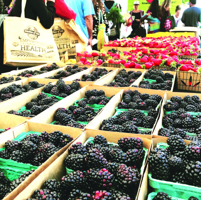 Santa Cruz Mountains’ Farmers Markets Lowdown
