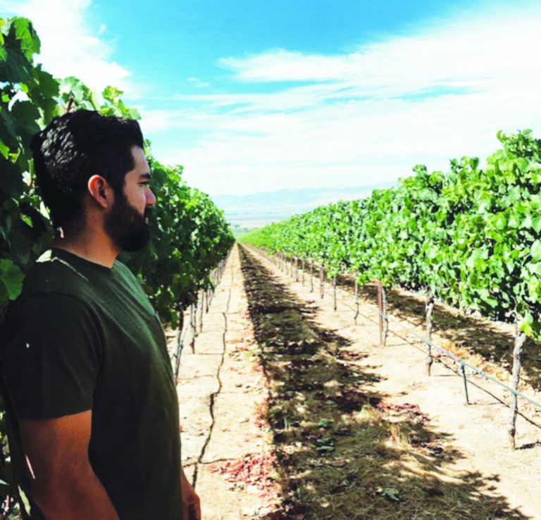 Sling & Stone Wines’ 2019 Paloma Creek Cab Scores High