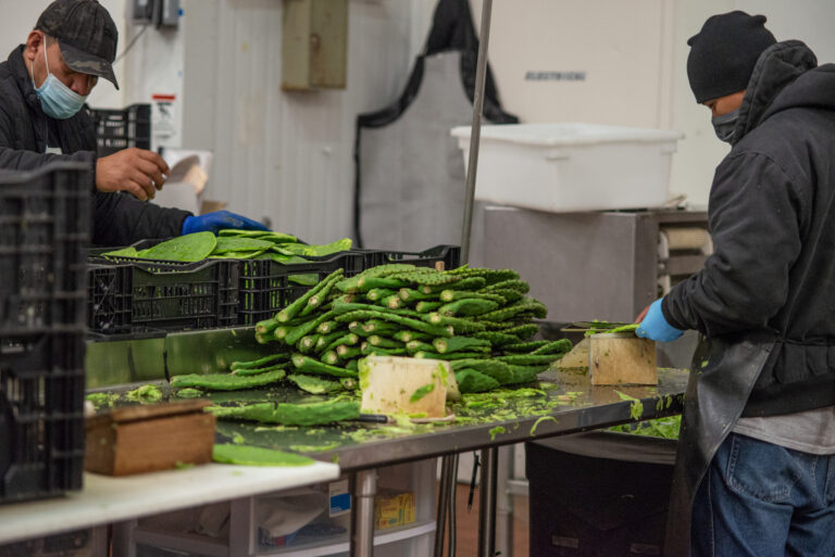How Santa Cruz County’s Underground Chefs Hope to Go Legit