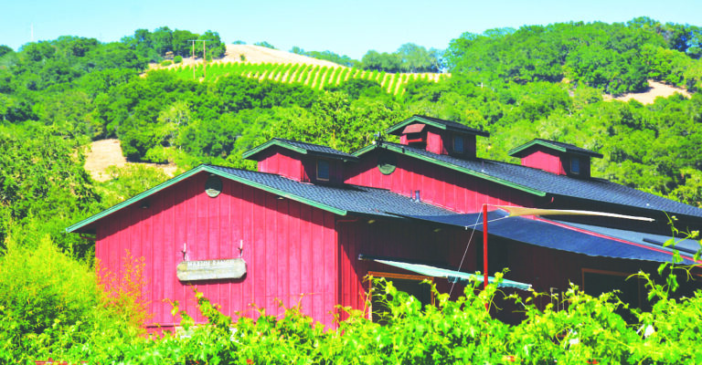 Martin Ranch’s Thèrése Vineyards 2017 Malbec Bursts with Ripe Fruit Flavors
