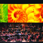 Image for display with article titled Santa Cruz Symphony Celebrates Frans Lanting’s ‘Life’