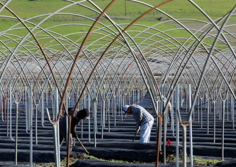 How the Push for Farmworker Housing is Hindered by Persistent Myths