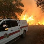 Image for display with article titled Environmentalists Get $1M to Improve Local Wildfires Defenses