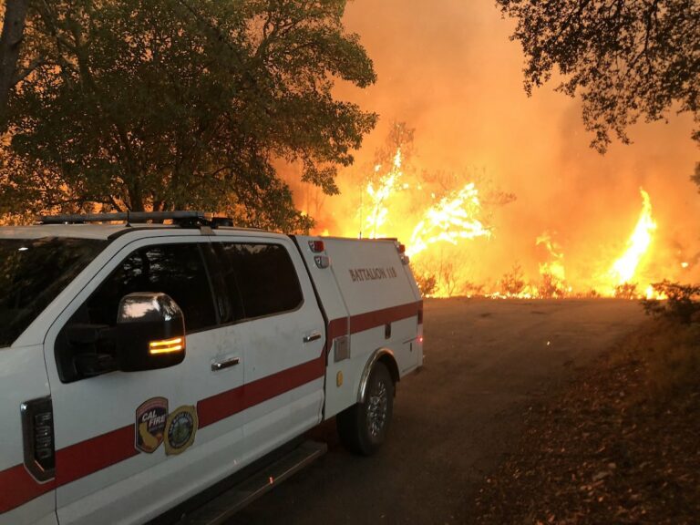 Environmentalists Get $1M to Improve Local Wildfires Defenses
