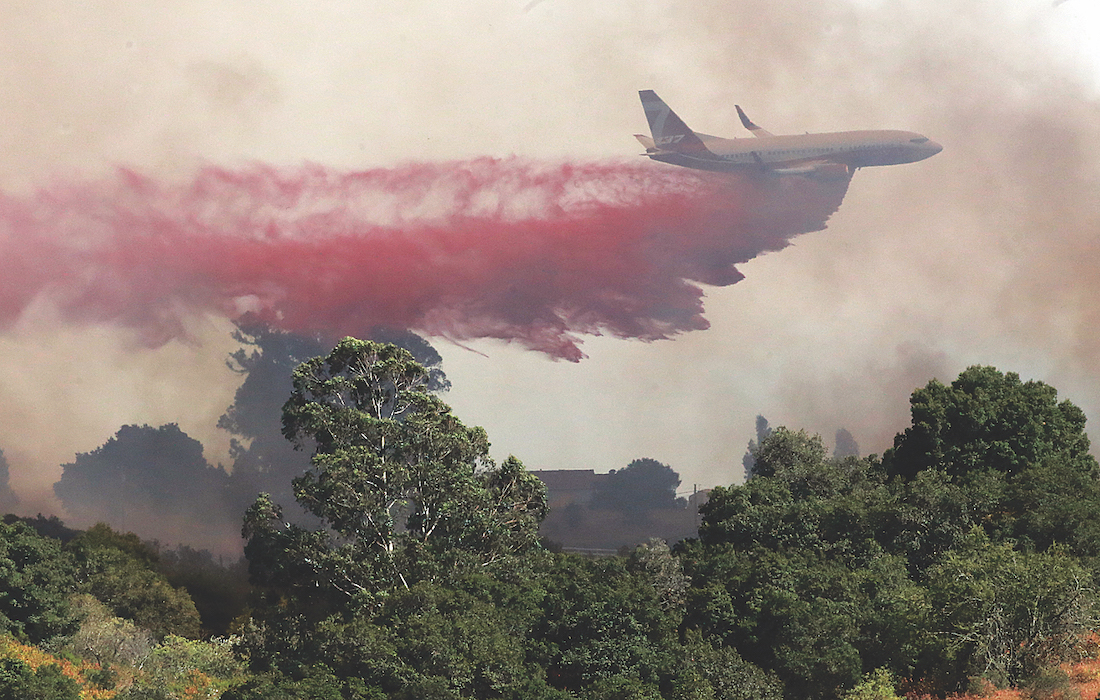 Anzar Fire Eclipses 100 Acres in Aromas Good Times