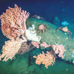 Image for display with article titled Behind the Push for a Chumash Heritage National Marine Sanctuary
