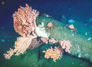 Behind the Push for a Chumash Heritage National Marine Sanctuary