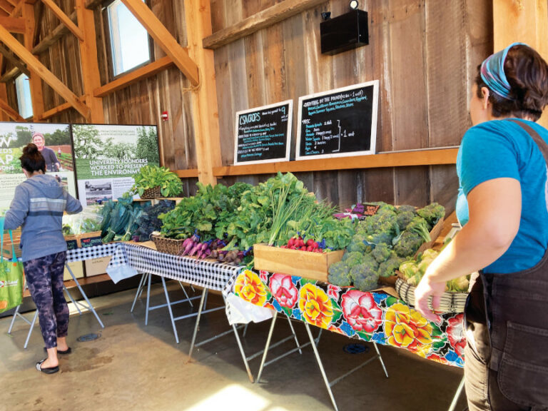 UCSC’s Twice Weekly All-Organic Farmstand Returns to the Hay Barn