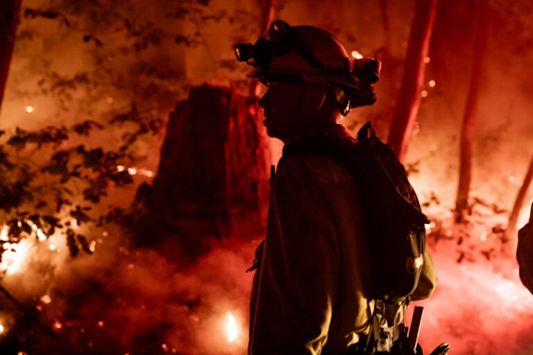 Letter to the Editor: For the Survivors
