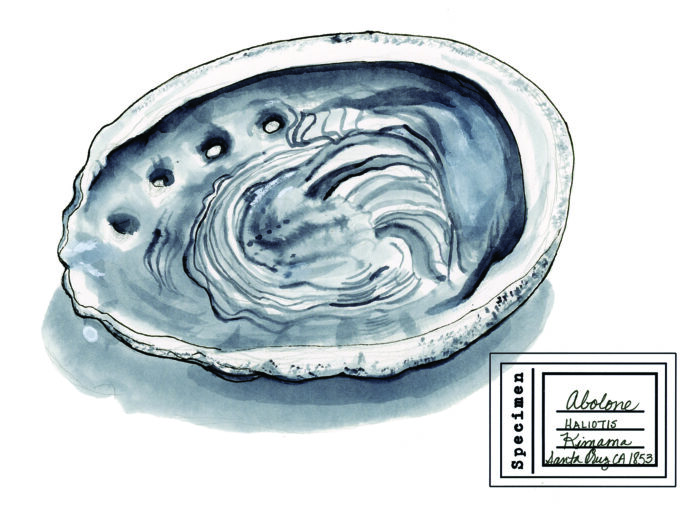 Lynn Guentherโs Passion for Teaching Inspired โLight of the Bayโ