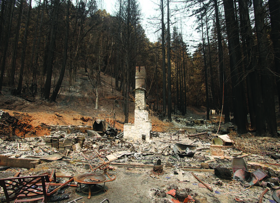 New CZU Fire Book Aims for ‘Hope and Healing’