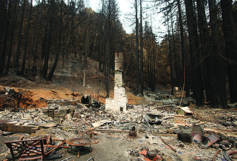New CZU Fire Book Aims for ‘Hope and Healing’