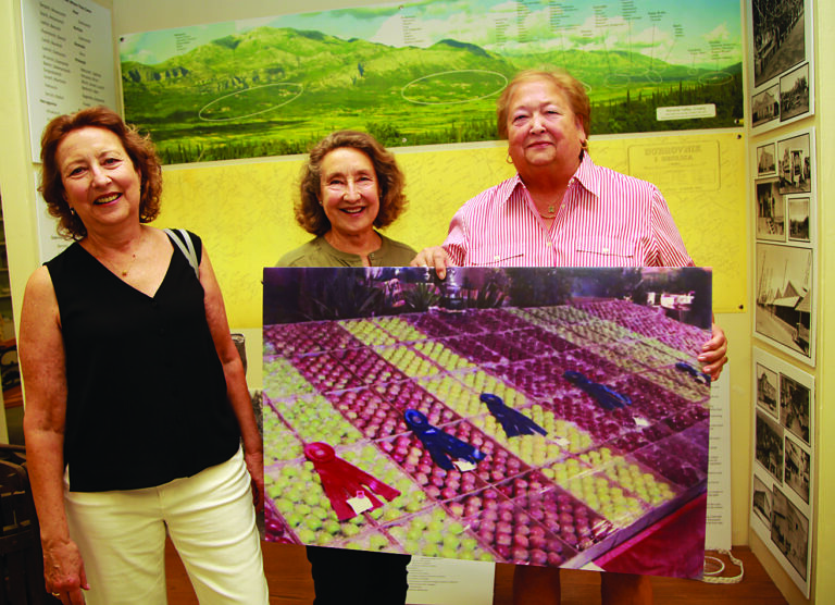 Santa Cruz County Fair Returns with New Exhibit