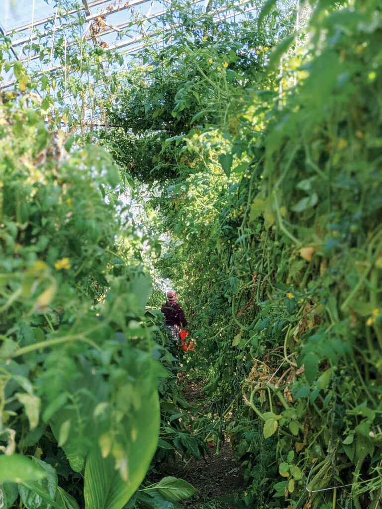 Opinion: The Untold Stories of Local Ag