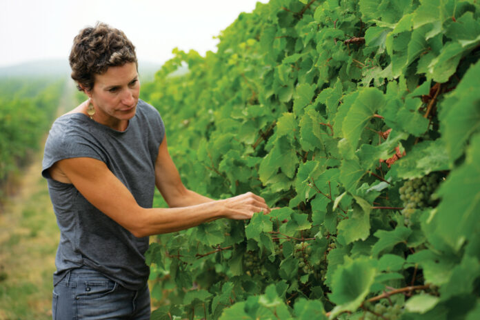 Ser Wineryโs 2021 Dry Orange Muscat is a Hit