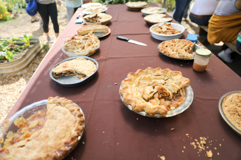 Local Eats, Education and Apple Pie at UCSC Farm’s Fall Harvest Festival