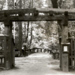 Image for display with article titled Big Basin Inspires Historical Reenactment