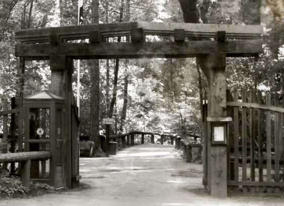 Big Basin Inspires Historical Reenactment