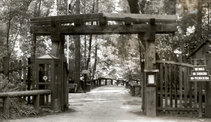 Big Basin Inspires Historical Reenactment