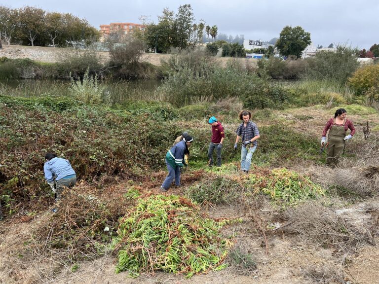 Environmental Groups in Santa Cruz Gives Connect Communities with Nature