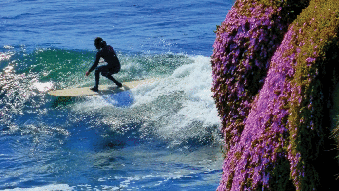 OโNeill Cold Water Classic Returns with a Focus on Equality