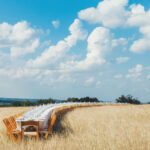 Image for display with article titled The Legacy of Outstanding in the Field