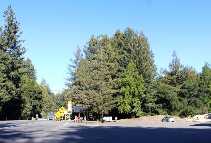 Discarded Ballots Found in Santa Cruz Mountains