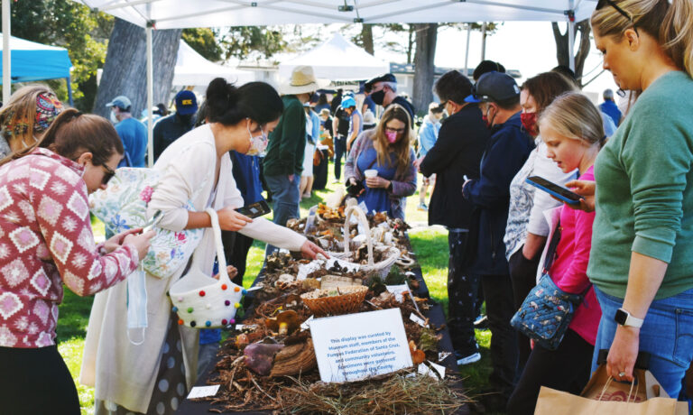 Mini Fungus Fair Returns to Santa Cruz