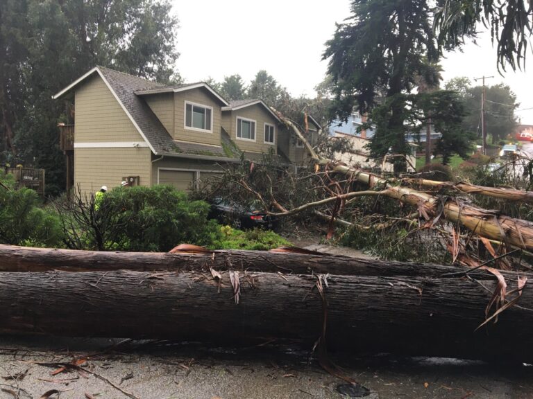 New Year’s Eve Storm Update and Helpful Tips