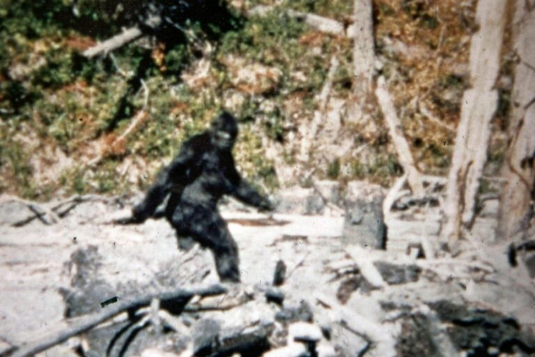 Opinion: Bigger Than Bigfoot