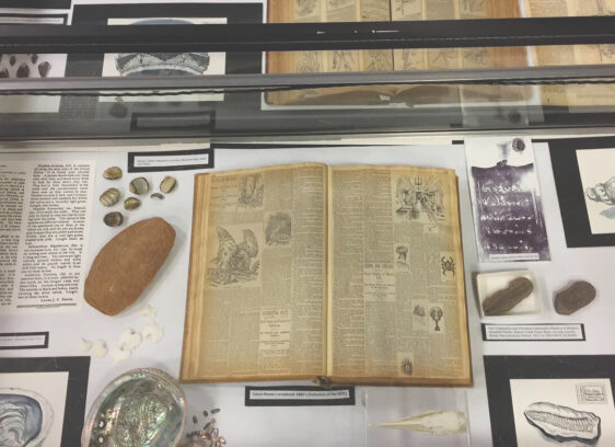 Library Showcases Earliest Known Naturalist