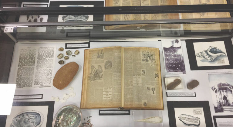 Library Showcases Earliest Known Naturalist