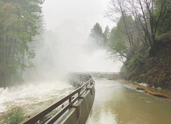 From Lochs to Levees: Flooding Terms Defined