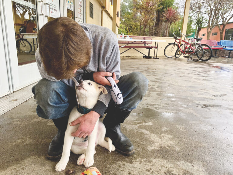 How Santa Cruz County is Caring for Storm Evacuee Pets