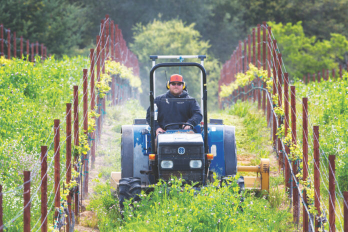Beauregard Vineyards’ 2021 Chardonnay is a Screwtop Delight
