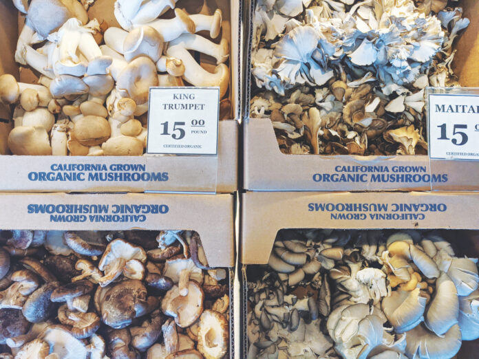 Tracking Santa Cruz County’s Best Grilled Cheeses