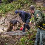 Image for display with article titled Volunteer Fire Departments Keep the Santa Cruz Mountains Safe