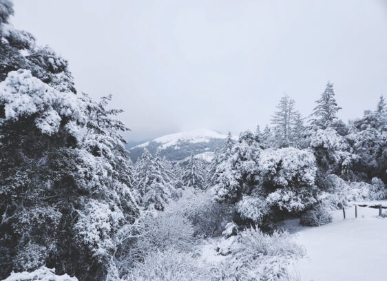 Series on Natural Disasters Comes to Santa Cruz Museum of Natural History