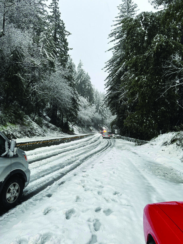 Driver Crashes on Hwy 17