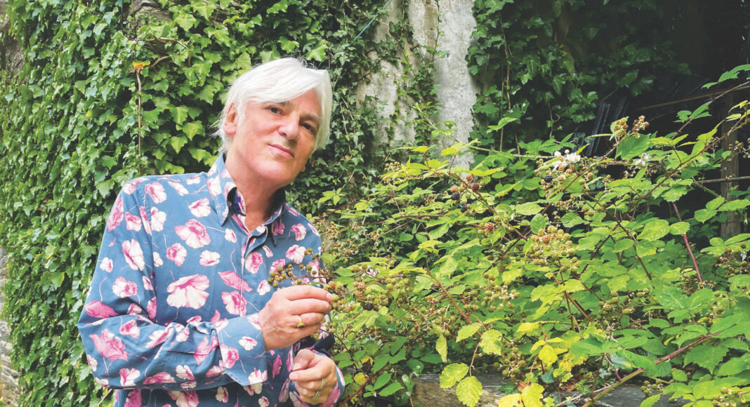 Robyn-Hitchcock