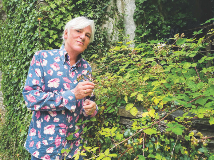 Robyn Hitchcock’s ‘Shufflemania’ Showcases Dynamic Range Robyn-Hitchcock