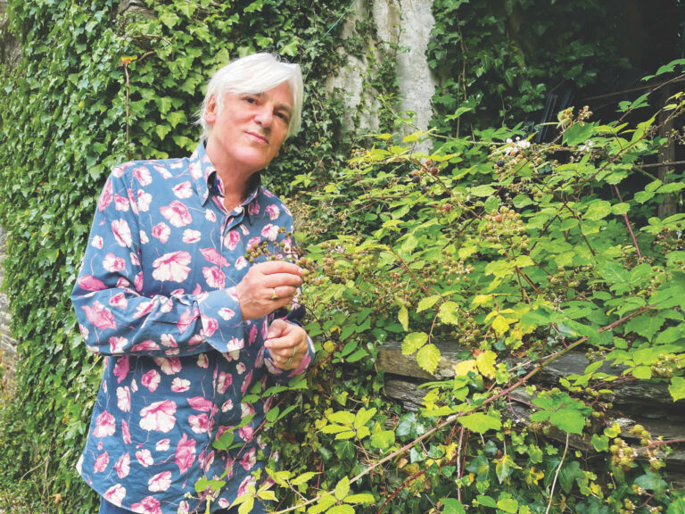 Robyn Hitchcock’s ‘Shufflemania’ Showcases Dynamic Range
