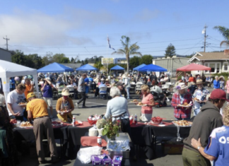 Letter to the Editor: Bear Hug Grey-Bears-2023