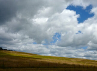 Letter to the Editor: West UCSC Campus Fadeaway UCSC-east-meadow